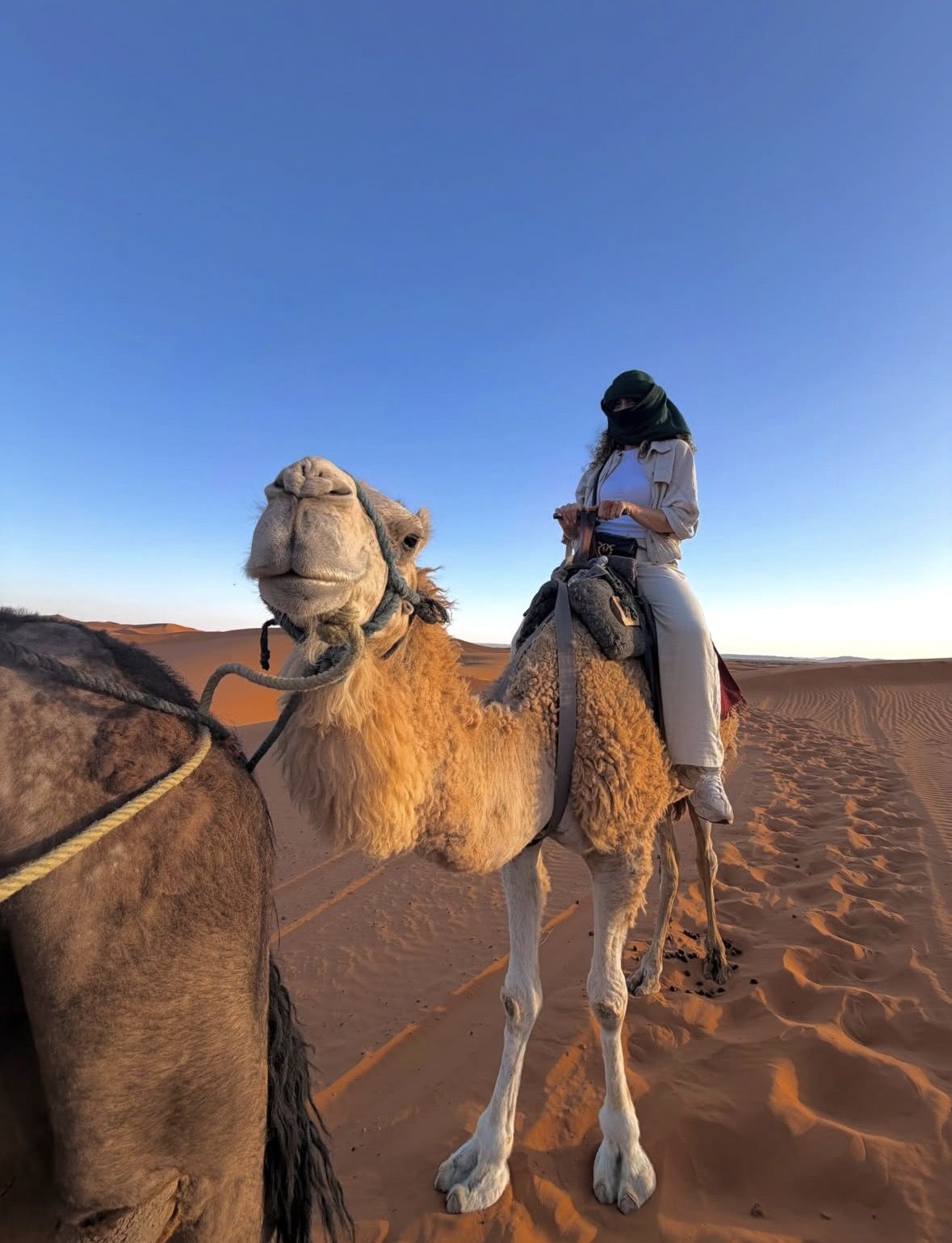 3-Day Marrakech to Merzouga Desert Tour: Camel Rides & Overnights